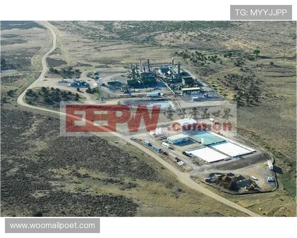 深入分析ag电子放分的工作原理及其在行业中的实用价值