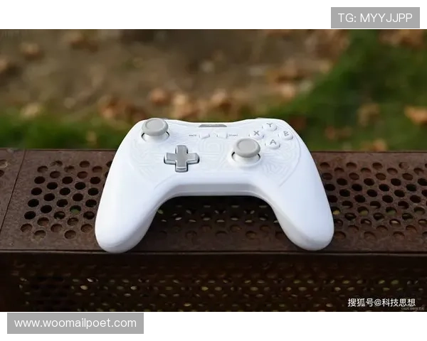 DB真人旗舰中国平台支持多种支付方式，方便玩家快速存取款实现无缝游戏体验